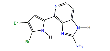 Ageladine A